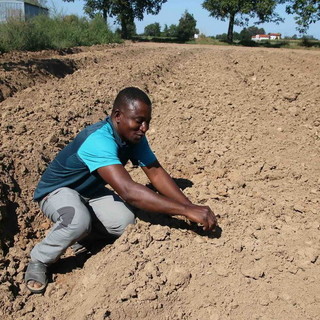 In tutta la Liguria il disagio di 4.500 lavoratori agricoli: la protesta dei sindacati Fai, Flai e Uila