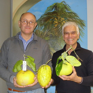 Cervo: domani presentazione libro ‘Frontiera Judaica’ di Alessandro Carassale e Claudio Littardi
