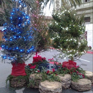 Bordighera: questa mattina alle 10 l'apertura del 'Villaggio di Natale' in piazza Mazzini Bordighera: questa mattina alle 10 l'apertura del 'Villaggio di Natale' in piazza Mazzini