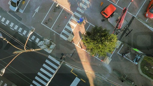 Ospedaletti: domani l'accensione dell'albero in piazza, questa mattina l'installazione dei led (Foto e Video)