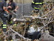 Sanremo: crollo della magnolia in via Roma, i testimoni &quot;Un tonfo 'sordo' e poi un gran polverone&quot; (Video)