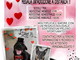 Con l'Enpa della nostra provincia l'adozione 'a distanza' degli ospiti del canile da donare per San Valentino Con l'Enpa della nostra provincia l'adozione 'a distanza' degli ospiti del canile da donare per San Valentino