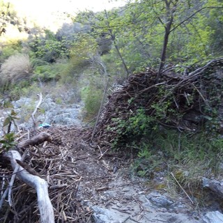 Ventimiglia: sentieri non curati, Alternativa Intemelia lancia iniziativa per promuovere tracciati da recuperare