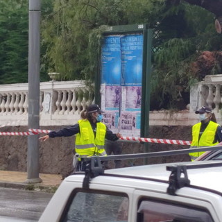Sanremo: albero crolla dal Tennis Matuzia sul marciapiede, intervento dei Vigli del Fuoco (Foto)
