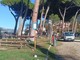 Alberi da abbattere a Ventimiglia, Italia Nostra Ponente Ligure: "Cercare il parere addizionale di uno studio specializzato per trovare alternative"