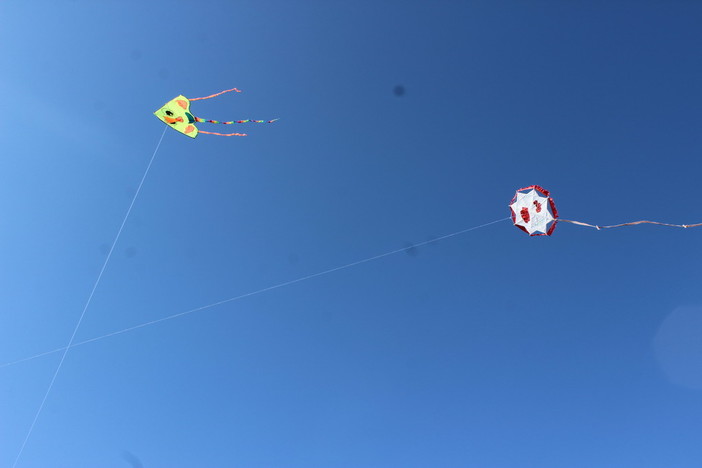 Divertimento all'aperto, Ventimiglia ospita la Giornata dell'aquilone (Foto) Divertimento all'aperto, Ventimiglia ospita la Giornata dell'aquilone (Foto)