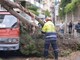 Sanremo: primi danni a causa del forte vento, crollano su via Asquasciati alcuni alberi di Villa Angerer