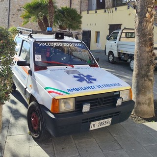 Ambulanze Veterinarie denuncia: "Email dell'Ordine dei veterinari intralciano la nostra attività" Ambulanze Veterinarie denuncia: "Email dell'Ordine dei veterinari intralciano la nostra attività"