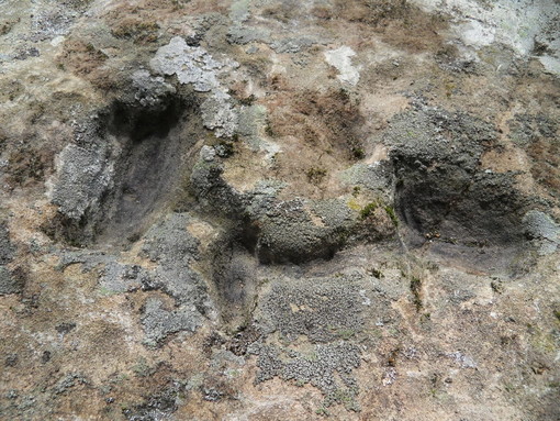 Perinaldo: scoperto sulla via 'Eraklea' un altare sacrifgicale dell'associazione 'Archeonervia' Perinaldo: scoperto sulla via 'Eraklea' un altare sacrifgicale dell'associazione 'Archeonervia'