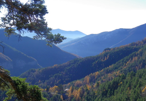 Domenica prossima un'escursione all'Anello del Plin in Valle Argentina con la guida Antonella Piccone Domenica prossima un'escursione all'Anello del Plin in Valle Argentina con la guida Antonella Piccone