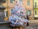 Sanremo: ecco l'albero di Natale esposto nella piazza centrale della frazione di Coldirodi Sanremo: ecco l'albero di Natale esposto nella piazza centrale della frazione di Coldirodi