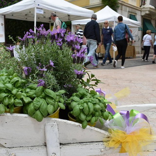 Quarta e ultima giornata a Diano Marina e nel golfo: tre conferenze e due cooking show, gran finale oggi per ‘Aromatica’