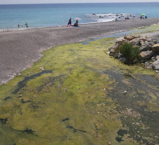Vallecrosia: acqua stagnante e miasmi sul lungomare alla foce del Verbone, la denuncia dell'opposizione (Foto)