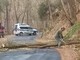 Albero cade sulla Provinciale 56 tra San Romolo e Bajardo: operai e Polizia Provinciale al lavoro (Foto)