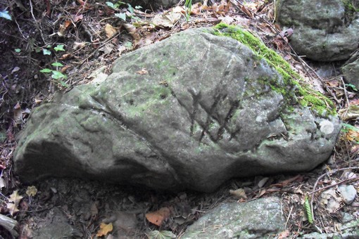 Rocchetta Nervina, scoperto antico masso con incisioni Rocchetta Nervina, scoperto antico masso con incisioni