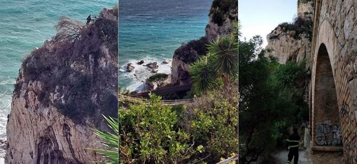 Ventimiglia, albero pericolante sui binari: iniziate le operazioni di rimozione (Foto e video)