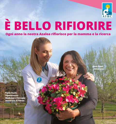 Sabato prossimo anche nella nostra provincia l'Airc proporrà l'Azalea della Ricerca nelle piazze delle città