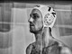Andrea Amelio Andrea Amelio