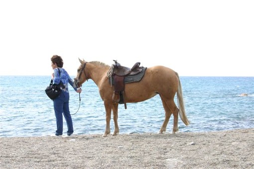 Imperia: Disegna il tuo cavallo, un concorso dedicato ai bambini