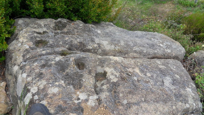 Vallebona: ‘Archeonervia’ scopre un altare sacrificale vicino al Redentore, trasposizione cristiana del culto delle vette Vallebona: ‘Archeonervia’ scopre un altare sacrificale vicino al Redentore, trasposizione cristiana del culto delle vette