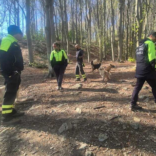 Pigna, da circa 36 ore nessuna traccia di Marcello Tamburrini: proseguono senza sosta le ricerche dell'80enne disperso Pigna, da circa 36 ore nessuna traccia di Marcello Tamburrini: proseguono senza sosta le ricerche dell'80enne disperso