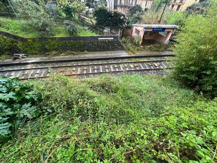 Airole, albero caduto sulla ferrovia: i complimenti di un nostro lavoro al sindaco