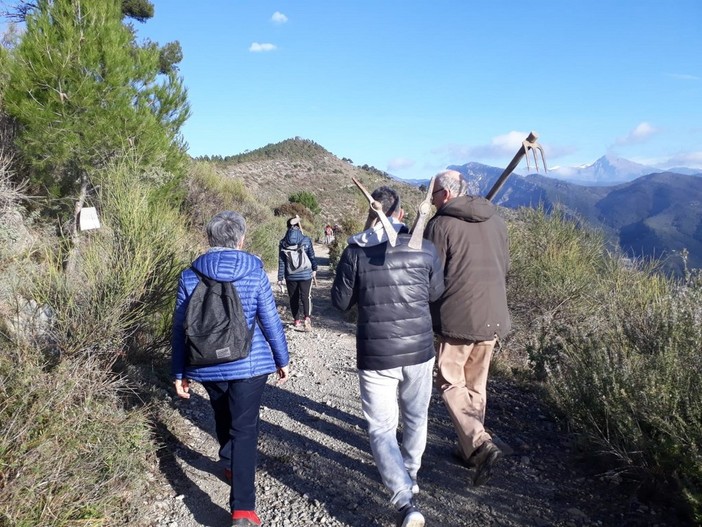 Ventimiglia: in 30 ieri con l'associazione 'Albintimilium' per piantare 100 alberi sul Monte Pozzo (Foto) Ventimiglia: in 30 ieri con l'associazione 'Albintimilium' per piantare 100 alberi sul Monte Pozzo (Foto)