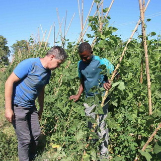 Decreto Legge Agricoltura, Coldiretti: “Serve moratoria per una azienda agricola su tre”