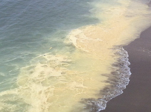 Sanremo: schiuma gialla in mare nella zona dei Tre Ponti, una lettrice ne spiega il motivo Sanremo: schiuma gialla in mare nella zona dei Tre Ponti, una lettrice ne spiega il motivo