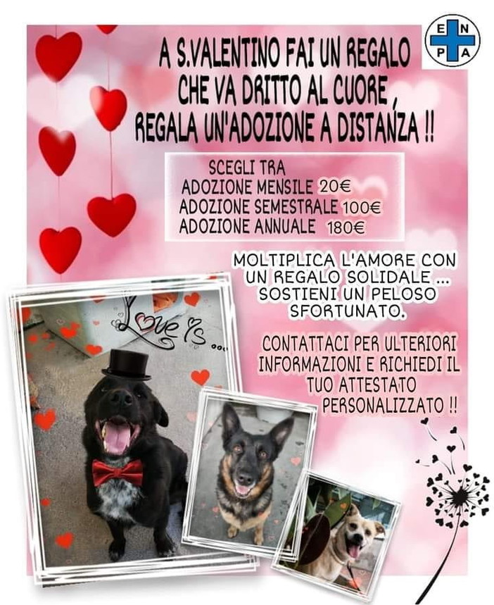 Con l'Enpa della nostra provincia l'adozione 'a distanza' degli ospiti del canile da donare per San Valentino Con l'Enpa della nostra provincia l'adozione 'a distanza' degli ospiti del canile da donare per San Valentino
