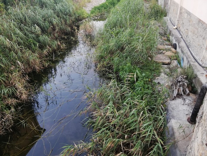 Santo Stefano al Mare: inquinamento alla foce del rio Santa Caterina, il PD chiede l'intervento del sindaco