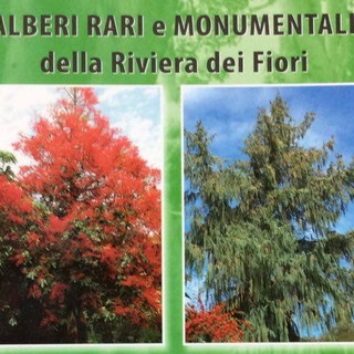 Domani pomeriggio alla libreria ‘Amicolibro’ di Bordighera la presentazione del libro “Alberi rari e monumentali della Riviera dei Fiori” Domani pomeriggio alla libreria ‘Amicolibro’ di Bordighera la presentazione del libro “Alberi rari e monumentali della Riviera dei Fiori”
