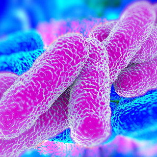 Olivetta San Michele: scoperto batterio di bassa contagiosità della Legionella alla Rsa degli Olivi