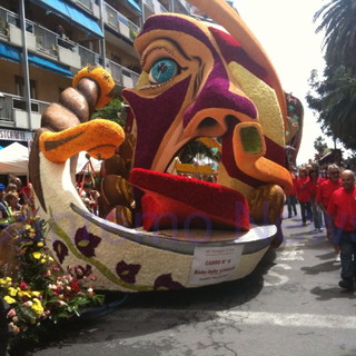 Cinquantenario Battaglia di Fiori a Ventimiglia: ufficiale, i carristi rinunciano per motivi economici