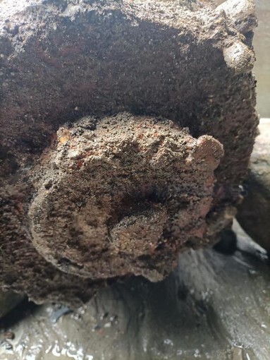 Bomba day di domenica prossima: divieti ed evacuazioni anche a Ventimiglia per il brillamento