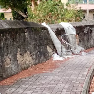 Ventimiglia: piante secche e nylon svolazzanti in corso Toscanini, un lettore "Serve un intervento" (Foto)