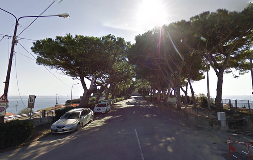 Sanremo: pineta alla Madonna della Guardia di Poggio, l'ex Consigliere Balestra risponde all'Assessore