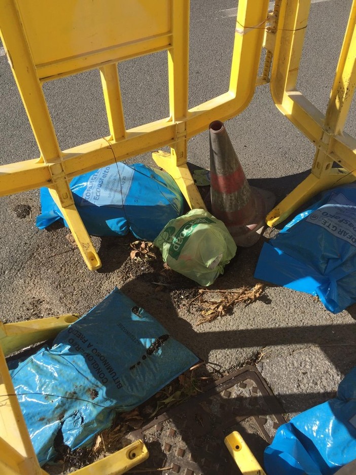 Decoro dei parchi e frana di via Fanny Roncati Carli, le question time di 'Progetto Imperia'