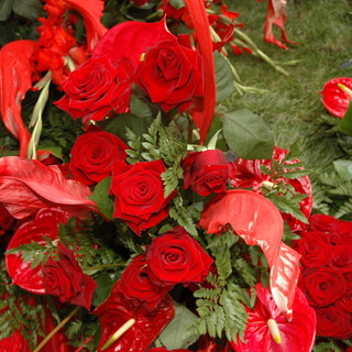 L'importanza del settore floricolo nell'economia ponentina: il pensiero di Andrea Gandolfo L'importanza del settore floricolo nell'economia ponentina: il pensiero di Andrea Gandolfo