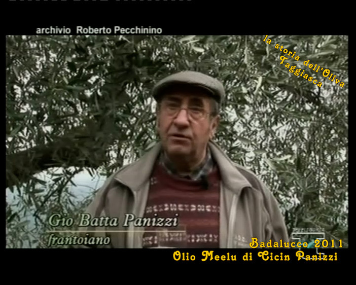 Sulle alture di Badalucco alla scoperta di come vengono raccolte le olive: protagonista il frantoiano Giobatta Panizzi