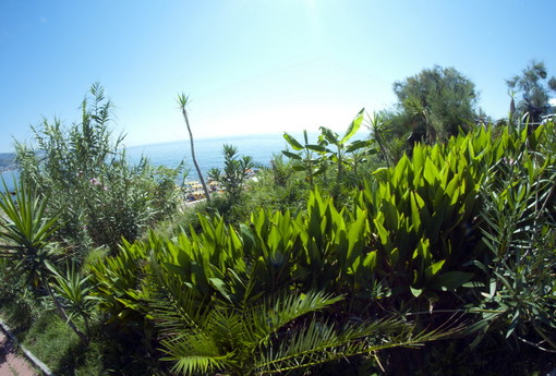 Sanremo: voragine di fronte alla 'Chiesa dell'Arma', necessari lavori urgenti Sanremo: voragine di fronte alla 'Chiesa dell'Arma', necessari lavori urgenti