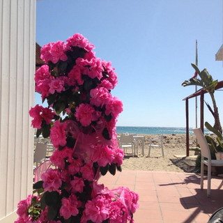 La stagione dei Bagni Tartaruga di Sanremo inizia il 27 Marzo: ricche proposte a Pasqua e tradzionale grigliata per Pasquetta