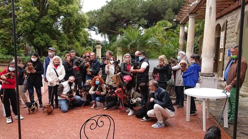 Sanremo: domenica nel parco di villa Ormond la seconda edizione delle 'Bassottiadi' Sanremo: domenica nel parco di villa Ormond la seconda edizione delle 'Bassottiadi'