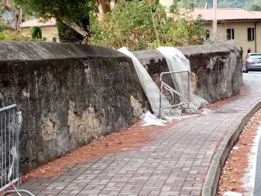 Ventimiglia: piante secche e nylon svolazzanti in corso Toscanini, un lettore "Serve un intervento" (Foto)