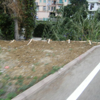 Scarse risorse e nessuna manutenzione ordinaria sulla ciclabile: l'intervento di un lettore Scarse risorse e nessuna manutenzione ordinaria sulla ciclabile: l'intervento di un lettore