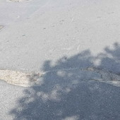 Buca in Strada Solaro, la nuova segnalazione di un lettore: "Situazione invariata da due mesi" Buca in Strada Solaro, la nuova segnalazione di un lettore: "Situazione invariata da due mesi"