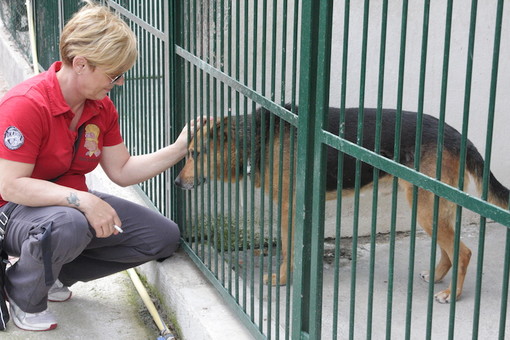 Elezioni Sanremo: lunedì prossimo, Roberta Canovi e Umberto Bellini incontrano i responsabili dell’ENPA