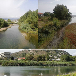 Ventimiglia: alla scoperta dell'oasi del Nervia con il “Birdwatching d’autunno” (Foto e Video) Ventimiglia: alla scoperta dell'oasi del Nervia con il “Birdwatching d’autunno” (Foto e Video)