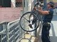 Sanremo: bicicletta appesa sul retro del Palafiori rischiava di cadere, rimossa dalla Polizia Municipale (Foto)