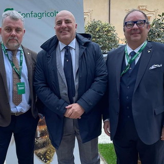 Il Senatore Gianni Berrino all'assemblea nazionale di Confragricoltura "Preservare il territorio" Il Senatore Gianni Berrino all'assemblea nazionale di Confragricoltura "Preservare il territorio"